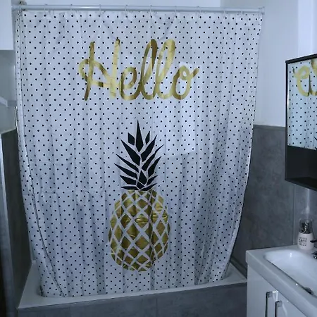 Apartament Grand 4 Couchages Proche